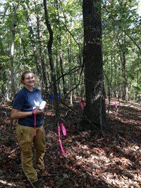 Graduate student Jennifer McDaniel installs leaf litter collection nets for a forest fuels study to begin this winter.