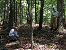 Graduate student Emily Babl and undergraduate researcher Evie Von Boeckman measure tree seedling size in October 2017.